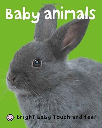 Bright Baby Touch & Feel Baby Animals (Bright Baby Touch and Feel)