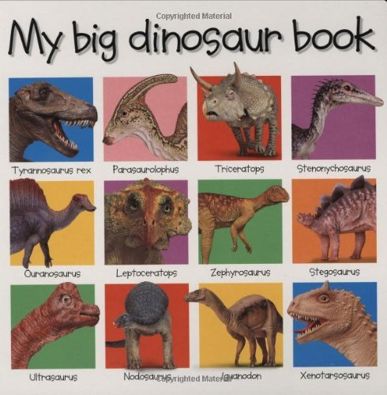 My Big Dinosaur Book